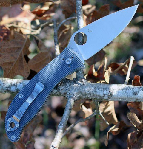 Складной нож Spyderco Polestar 220GPGY фото 8